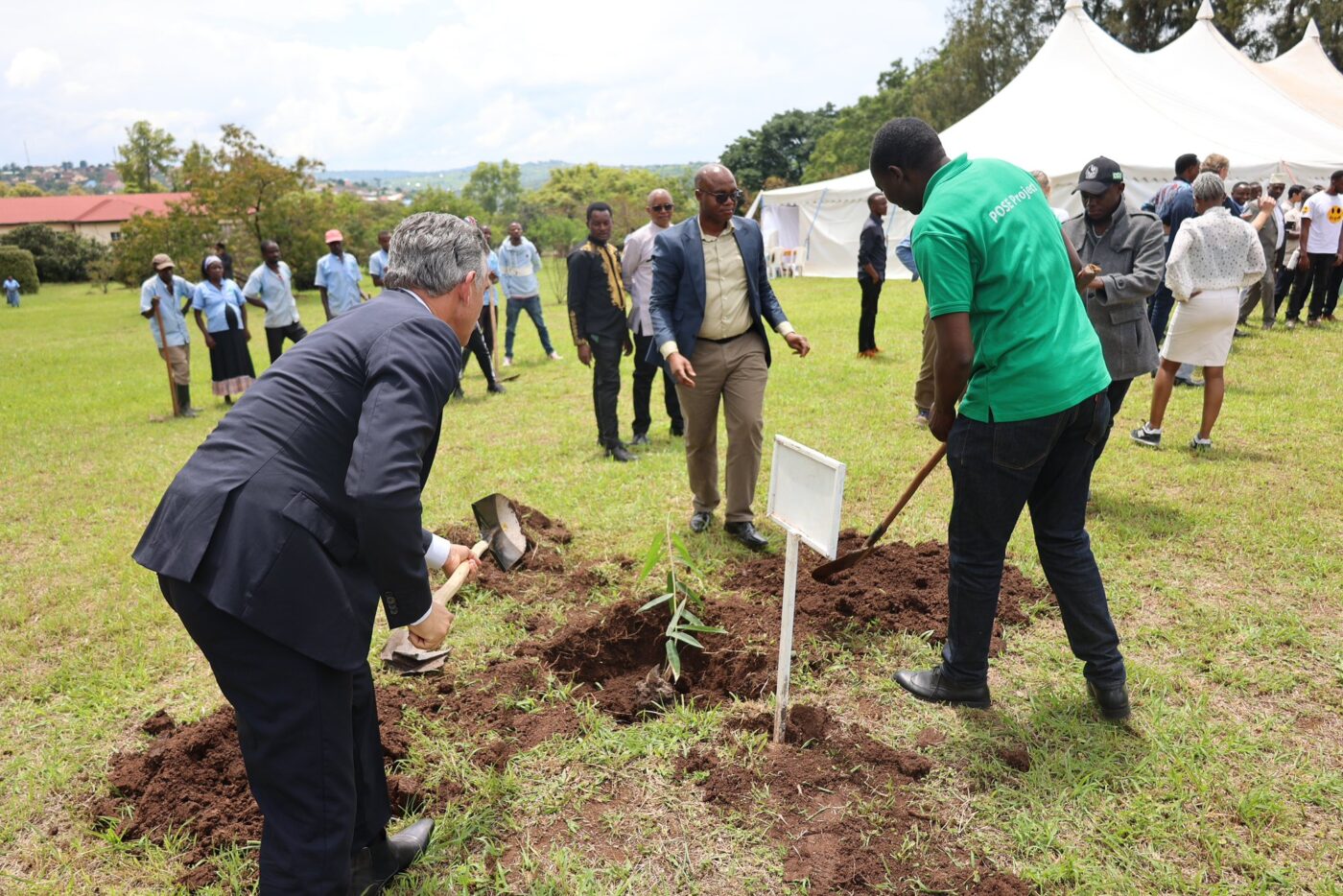 More Bamboo species are expected to be introduced in Rwanda for a ...