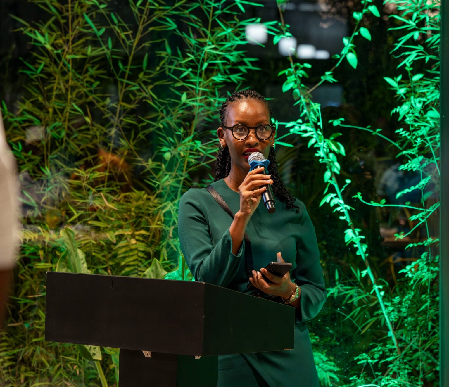 Rwanda Launches Legacy Tree Project to Preserve Its Oldest Native Trees ...